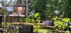img_20200726_115159_small.jpg